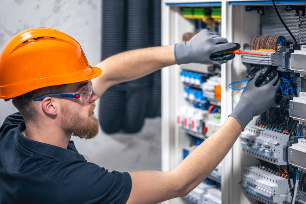 Best Electrician for Home Renovation  in Hartland, WI