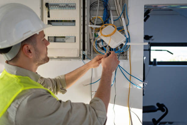 Best Local Electrician Companies  in Hartland, WI