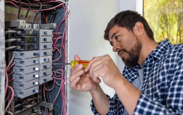 Best Generator Installation Services  in Hartland, WI